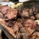 몽탄 티스토리
