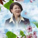 인셀덤 정윤희 이미지