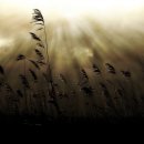 바람길목 이미지