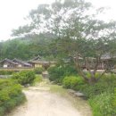 [김성회의 뿌리를 찾아서] &lt;53&gt; 파평윤씨(坡平尹氏), 해남윤씨(海南尹氏), 칠원윤씨(漆原尹氏) (세계...