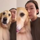 알콩달콩 이미지