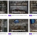 한국반려동물교육원 이미지
