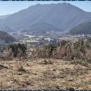 청평공인중개사사무소 이미지