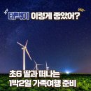 커피나무당골 | 태백 가볼만한곳 추천! 초6 딸과 떠나는 1박2일 가족여행 코스 총정리