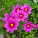 경일부동산공인중개사사무소 이미지