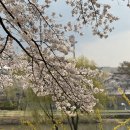 야탑로20번길 이미지