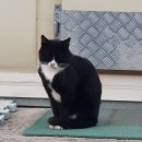 형지농장 이미지