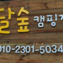 달숲 이미지