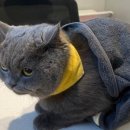 오월의 동물병원 이미지