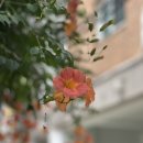 힐링헤어샾 - 서귀포시 | 힐링헤어샾