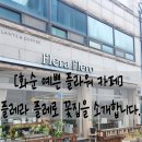 화순읍 성심병원 앞 이미지