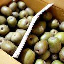 호돌이농장 이미지