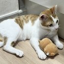 아이조아 요양보호소 서울점 이미지