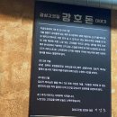 강호돈