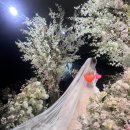 노보텔 앰배서더 수원 | 노보텔 앰배서더 수원 │ 예식장 하객 후기 (코스요리)