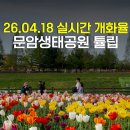 청주열린약국 | 청주 문암생태공원 튤립 산책로 나들이 관광지 가볼만한곳