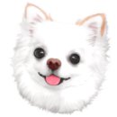 와와멍# 네이버블로그