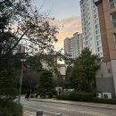 10월 1주차 이세민 오늘은 필터링이없다