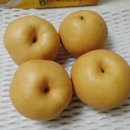 강남농원 티스토리