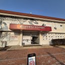 경북대학교자연사박물관 | 대구 군위군 어린이와 가볼만한 곳 추천 경북대학교 자연사박물관