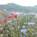 함안제일정비 이미지