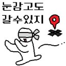 슈페리어모텔 | [이용 후기] 서울 용산 드래곤시티 노보텔 앰배서더 슈페리어 더블룸