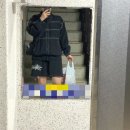 달봉 5월 일상 기록 下