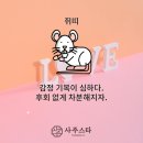 (주)스타사주