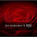 라이라이라이 | 도서 라이라이라이 5 특별판, 솔직 후기