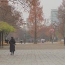 코코에스테틱피부관리실