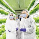 수평농장 이미지