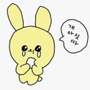 초록건강한약국 이미지