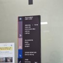 어린이를 위한 심폐소생술 | 발달재활제공인력 어린이안전교육 오프라인 실습 후기