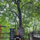 쓰레기 산을 이루는 곳, 강남구 자원회수시설에 다녀왔어요! ‼️소름주의‼️ 이미지