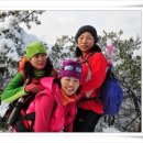 구봉산전망대 이미지