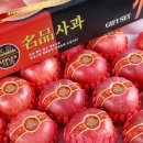 거성2호