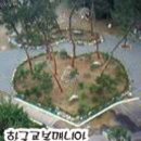 비봉중학교 이미지