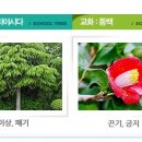 금산종합고등학교 이미지