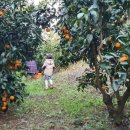 비산농장 이미지