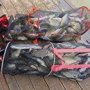 산들 낚시터 이미지