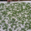 봉곡평생교육센터 이미지