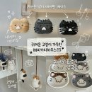 [전주] 소품샵 추천, 해피키티하우스 고양이 굿즈 가득한 내돈내산 구매 후기
