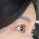 더시크릿 속눈썹
