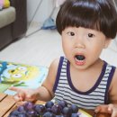 대원관광농원 이미지