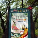 천장호 출렁다리 이미지