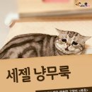 세젤