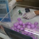 유니플렉스 2관 이미지