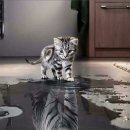 경희유아태권도 이미지