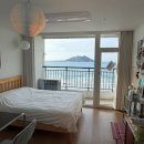 오늘도 맛있개 | 임신 29주차, 제주 태교여행 3박4일 다녀옴!