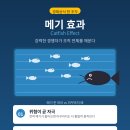 물고기한마리